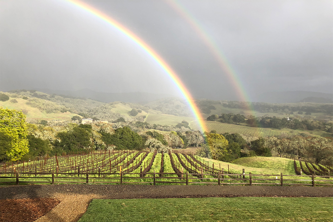 View of vineyard with double rainbow